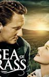 The Sea of Grass (film)