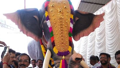 Watch | PETA India gifts robotic elephant to Kerala temple: ‘Lifelike’