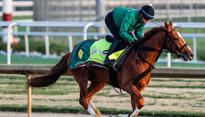 Preakness Stakes 2024 predictions, betting odds: Win, place, show, exacta, superfecta expert picks