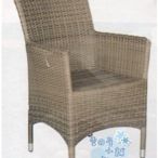 ╭☆雪之屋小舖☆╯O-45P16 尊爵全鋁製藤椅/戶外摩登椅/戶外休閒椅