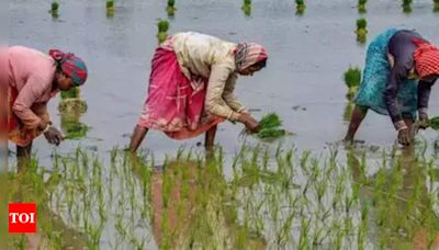 June rainfall deficient so far in 18 Maharashtra districts; sowing hit | Pune News - Times of India