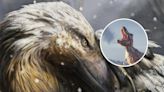 "Unique" bird ability first evolved in dinosaurs 180 million years ago