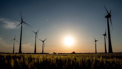 ¿Qué necesita Argentina para potenciar la energía eólica y protagonizar el desarrollo de su economía verde?