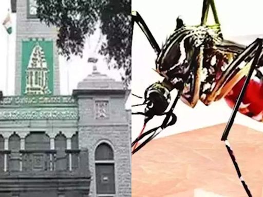 BBMP Steps Up Surveillance to Contain Dengue Spread in Bengaluru | Bengaluru News - Times of India