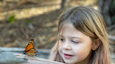 Guest column: Keeping the magic of monarchs alive in Ventura County