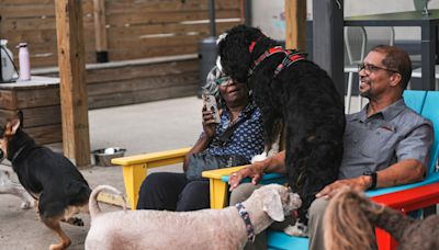 Barkside, Detroit’s 1st dog park and bar, created by former MSU classmates