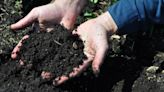 Get the dirt: Learn to balance the needs of your garden’s soil so plants will thrive