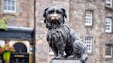 Pet blessing service to take place at Greyfriars Bobby church