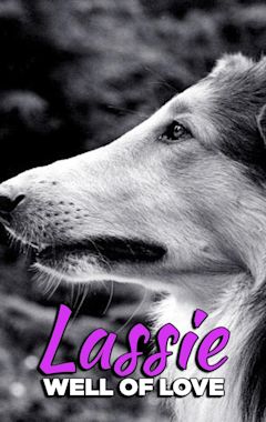 Lassie: Well of Love