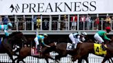 2024 Preakness Stakes: Favorite Muth scratched because of spiked temperature from Triple Crown race