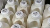 There’s bird flu in U.S. dairy cows. Raw milk drinkers aren’t deterred.