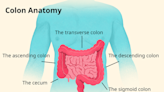 Descending Colon: Function and Associated Conditions