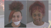 Young women battle, bloody scene involved biting faces; both go to hospitals, then jail