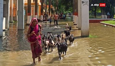 Bihar Weather Today: Heavy Rain With Lightning And Thunderstorm Predicted In 14 Districts