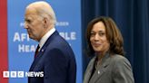 Biden endorsed Harris for president. What will happen next in the US election?