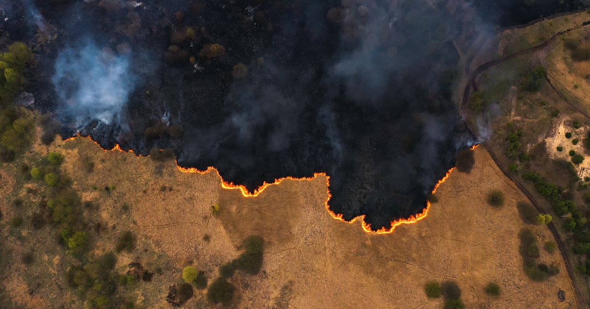 Can satellites spot wildfires before they grow out of control?