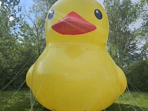 This 25-foot inflatable duck ‘died’ so a Michigan business could thrive