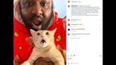 From footballs to felines. How a former NC State player became ‘The Cat Dad of TikTok’