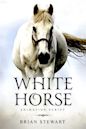 White Horse | Animation