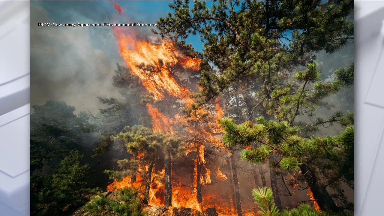 Wildfire breaks out at military gunnery range in New Jersey