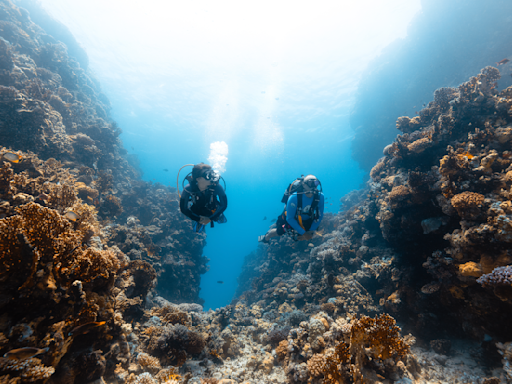 Q&A: Red Sea Global Highlights Destination Biodiversity to Attract Divers Worldwide