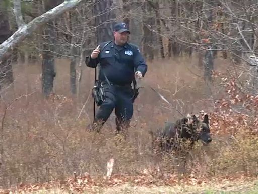 Police search on Long Island expands to area where body was found in unsolved murder from 1990s