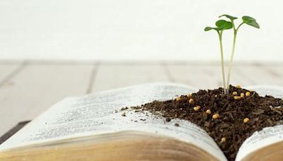 Library seed hub to help residents grow their own
