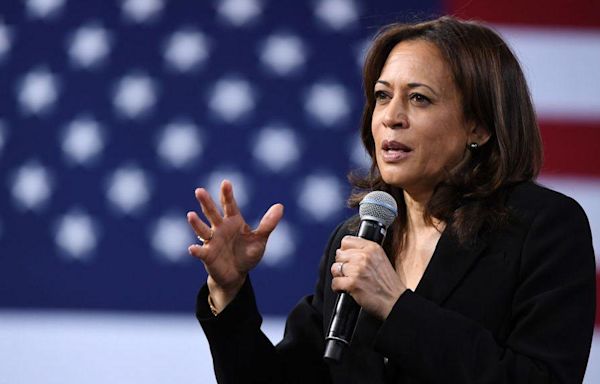 Who could challenge Harris for Democratic nomination?