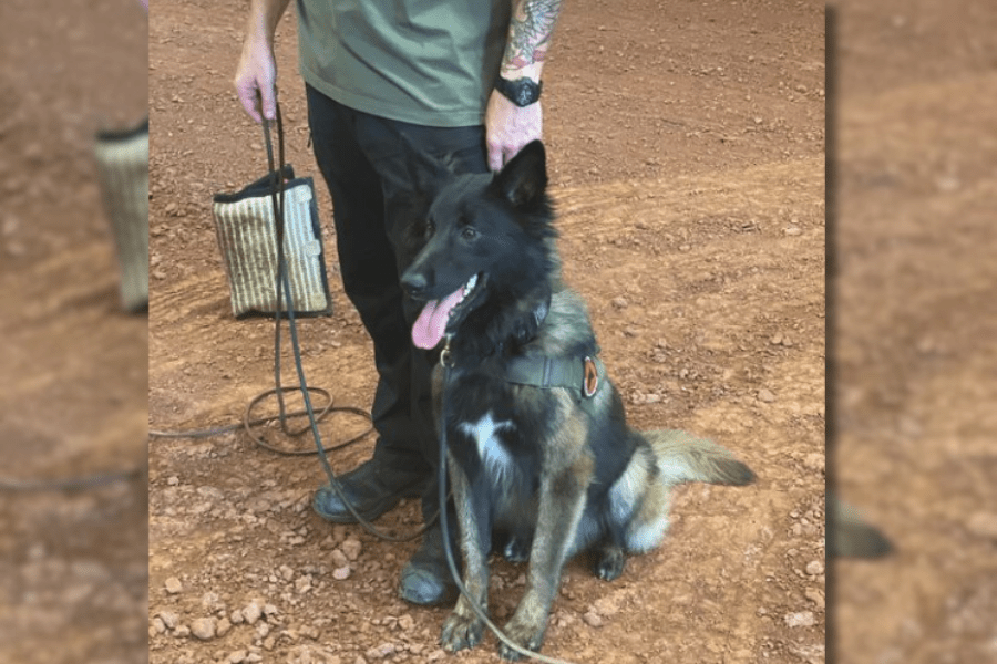 APD K-9 teams bring home awards, introduces K-9 Panzer