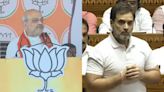 'Why This Arrogance?': Amit Shah Slams Rahul Gandhi's Behaviour In Lok Sabha