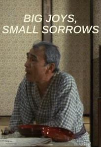 Big Joys, Small Sorrows