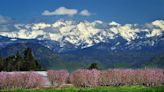 Court records reveal who’s lining up to buy land from bankrupt Fresno farming company