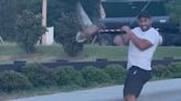 Mother duck attacks man who was trying to help its ducklings