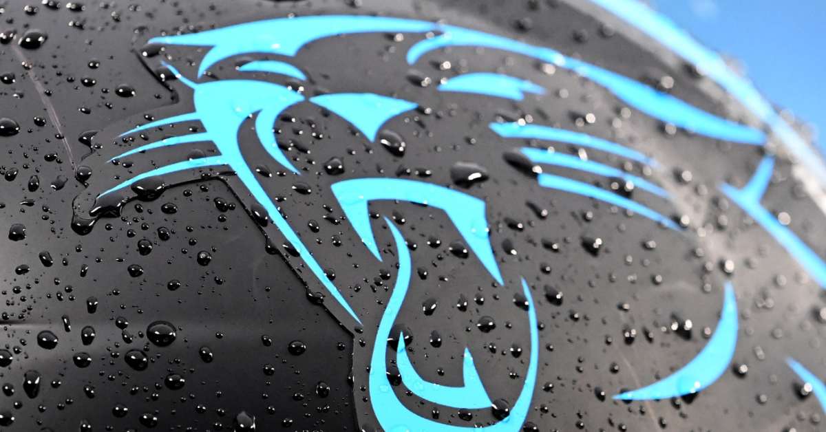 Carolina Panthers are possible wild card team according to analyst