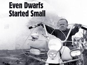 Even Dwarfs Started Small