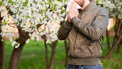 ¿Tienes alergia primaveral? Te contamos cómo saberlo y qué hacer para superarla