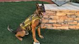 Bulletproof vest saves K9 deputy shot during suspect pat down in Compton