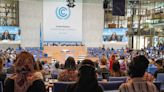 Bonn Climate Conference 2024: Countries' plans not yet aligned with tripling renewables capacity goal
