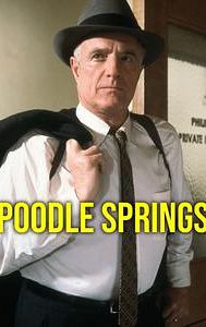 Poodle Springs (film)