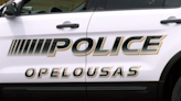 Accidental discharge of firearm kills Opelousas man