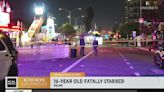 Teenage boy fatally stabbed at first-ever community carnival in Palms area