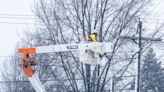 We Energies eyes massive increase in removal of dead, dying trees that threaten power lines