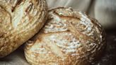 Sourdough under the microscope reveals microbes cultivated over generations