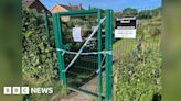 Tunbridge Wells: Three teenagers arrested after allotments death