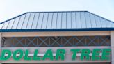 6 Things Our Editors Always Buy at the Dollar Tree