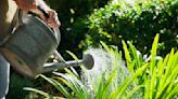 8 garden watering mistakes that can harm your plants – and how garden experts avoid making them