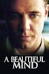 A Beautiful Mind