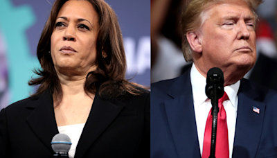 Disputa presidencial entre Kamala Harris e Donald Trump tem empate técnico, mostra levantamento