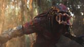 “We already got a Prey movie”: Predator Starring Elle Fanning Makes a Few Fans Insecure After Blaming Anya Taylor-Joy for...