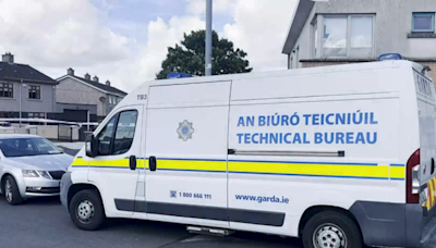 Gardai investigate if man (20) was stabbed to death in Dublin after being accused of trying to break into a car
